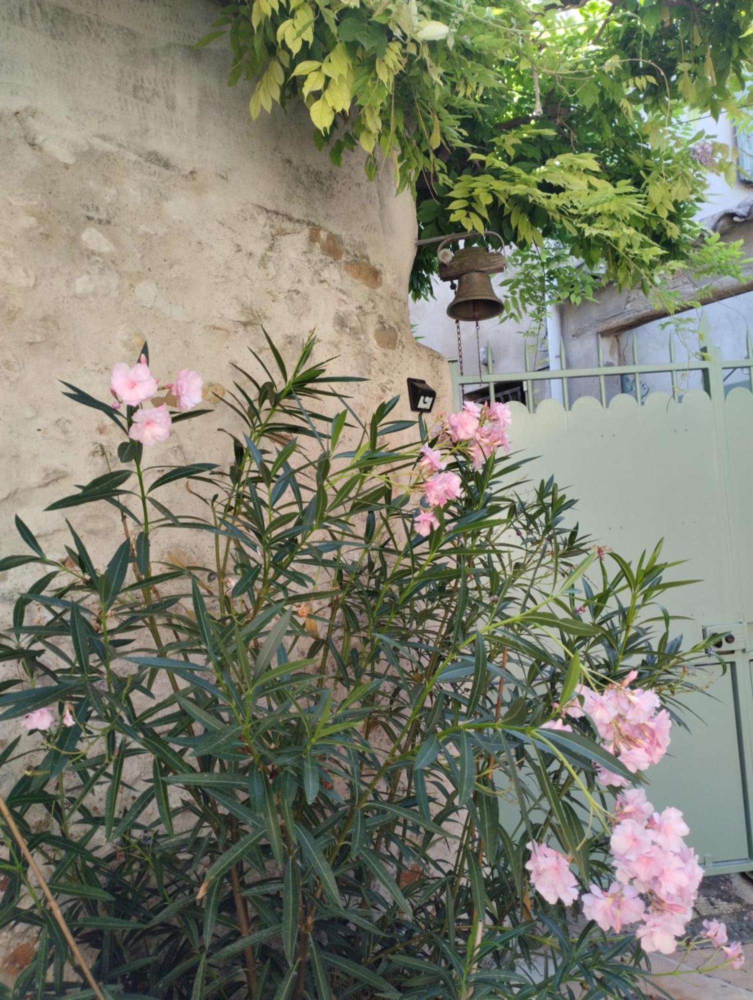 Chez Les Filles Bed & Breakfast Dions Екстериор снимка